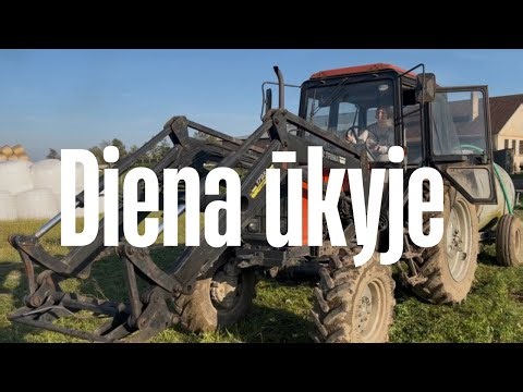 Diena ūkyje