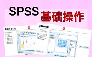 【科研技术】SPSS基础操作还不会？那你的实验数据分析找你凡尔赛老公做吗？｜带你入门！