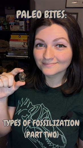 While most fossils preserve hard parts like bone and shells, some conditions can stop decay early or seal organisms off from the environment entirely. In this episode of Paleo Bites, we look at exceptional fossilization processes including soft-tissue preservation, amber, freezing and desiccation, and asphalt pits. #paleontology #fossils #earthscience #dinosaurs #scienceeducation | Elevation Science for Natural History Exploration