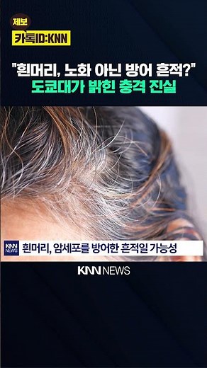 Is your hair protecting your body? The surprising facts hidden in hair color / KNN