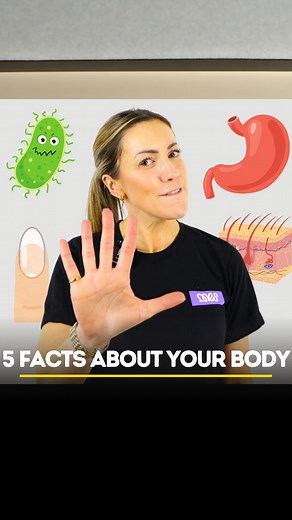 5 Facts About The Human Body You Probably Didn’t Know! 🧠 [Biology Facts, Human Body Facts, Science Fun, Learn Biology, Amazing Body Facts, Lauradoesbiology, Myedspace] | Myedspace Biology