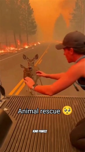 “She Came to Us Alone”