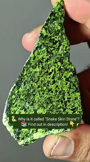 Serpentine - The "Snake Skin" Stone! 🐍💎 #Serpentine #crystalsdotcom #mirrorsurface #gemquality