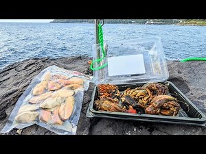 [Rock Bream Fishing][Experiment] Taking on big game on a rocky shore using only bait easily bough...