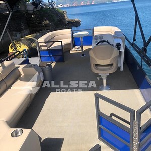 [Hot Item] Hottest 27FT/8.2m Luxury Family Gathering Jet Ski Sport Speed Pontoon Boat