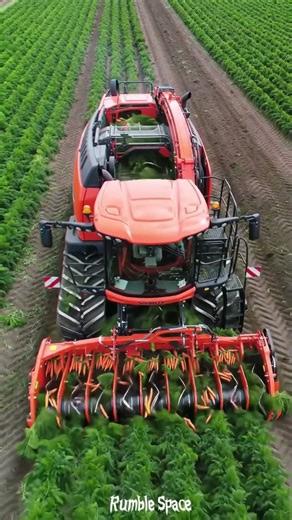 Can This Big Machine Eat Anything?