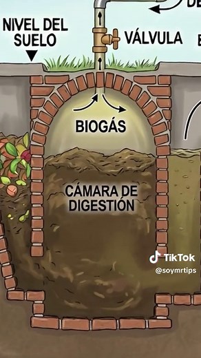 Gas GRATIS de por vida con un biodigestor