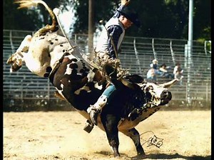 EL PAYASO DEL RODEO (subiendo velocidad)