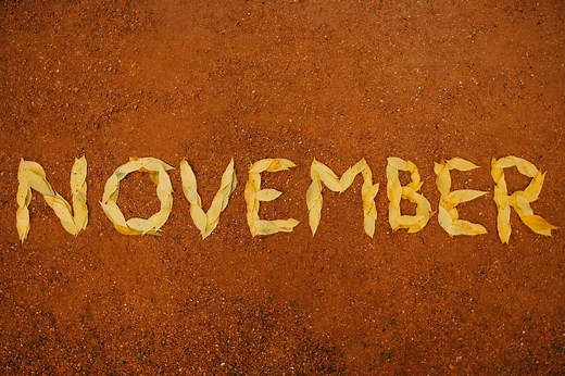 30 November Activities For Preschoolers: Crafts, Games, Experiments, And Challenges - Teaching Expertise