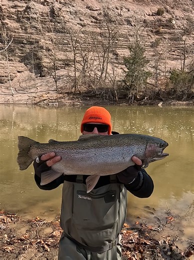 Catch Steelhead and Rainbow Trout in Ohio