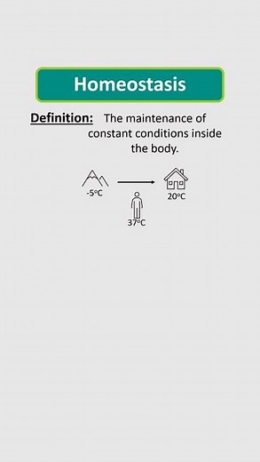 Homeostasis definition #sciencerevision
