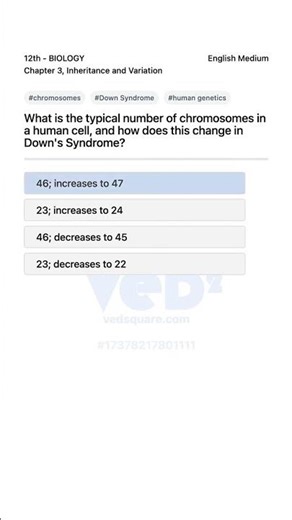 Understanding Chromosomes in Humans and Down Syndrome 12th Biology