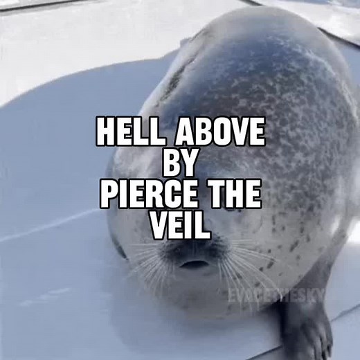 Pierce The Veil - Hell Above Music Video Overview