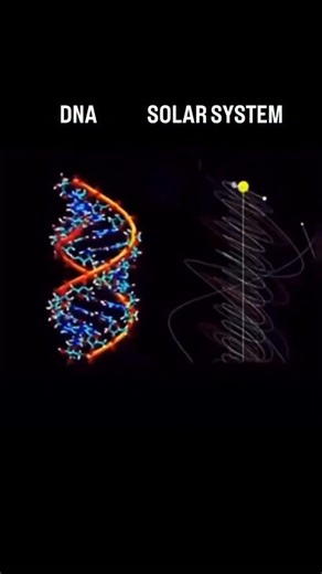 Quantum Insights & Astrophysics on Instagram: "The path of the Sun and the planets in our solar system resembles a helical DNA structure, where every celestial body moves along its own guiding spiral. The number of “strands” in this cosmic planetary DNA mirrors the number of planets, including the Sun itself. The structure of DNA and the shape of spiral galaxies share a striking resemblance. Both follow the same principles - the golden ratio and the logarithmic spiral. When you compare the archi