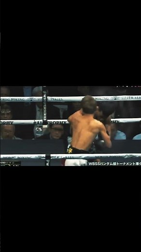 井上尚弥が強い世界王者をワンパンチKOしたシーンを分析 #boxing #井上尚弥#ボクシング