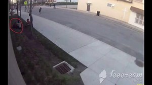 Columbus Division of Police on Reels