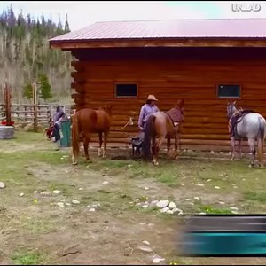 How would you like to visit this "Bud & Breakfast"? | Marijuana World News