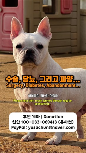 아픔을 견뎌내고 있는 유사천 아이들의 근황