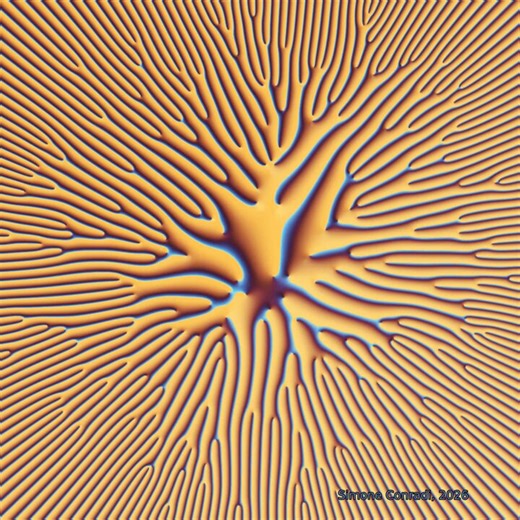 The complex plane colored by the argument of a polynomial. Each root drifts along a tiny orbit and the color vortices follow: every swirl is a zero.Made with #python #numpy #matplotlib in a@marimo_io notebook.