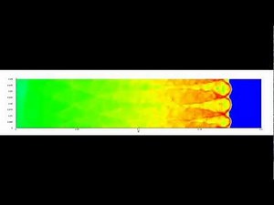 Detonation Propagation in a Tube