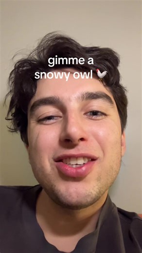 sorry I was staring at myself on the screen picturing a snowy owl on my shoulder #owl #toxictrait #birdoftiktok #petsoftiktok