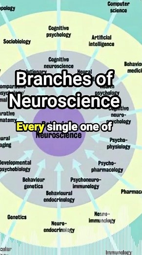 Different Branches of #Neuroscience