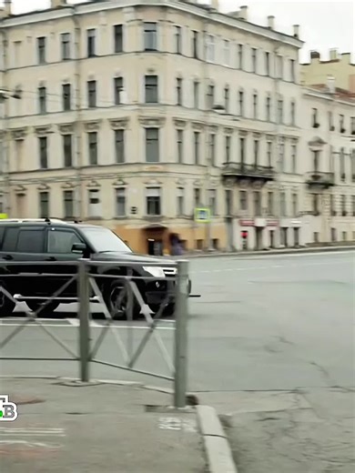 Top Movie Reviews from the TikTok Film Competition