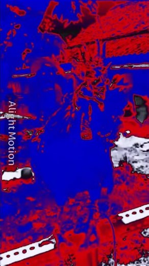 chicken ayam in megavocoding