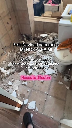 Feliz Navidad para todos menos para mí que me rompieron toda la casa