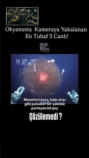 5 Strangest Creatures Caught on Camera in the Ocean-5 #science