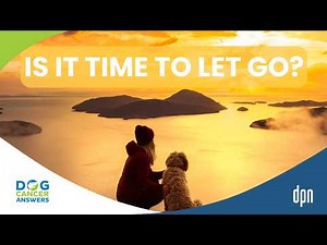 Is It Time to Put My Dog Down? How to Let Go with Love | Dr. Dani McVety