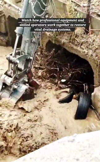 Professional Debris Removal and Flood Mitigation