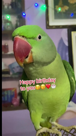 Coco Singing Happy Birthday Song | Send to Your Loved Ones 🎂❤️