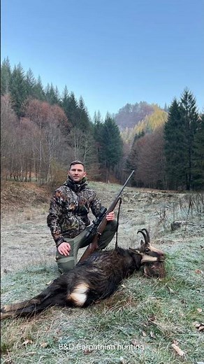 #chamoishunting #Gamsjagd #chasseauchamois #Карпатскаясерна #gemsejagt #hunting #cazarebecos