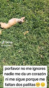 Laura Lopez on Reels