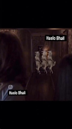 Dancing wolves|| #shorts #funny