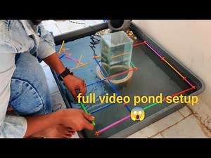 “My New Fish Pond Setup! Natural & Simple 💚🐟”