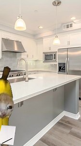 545K views · 10K reactions | Daddy's Home  (CAT MEMES) sounds: YT @StikAnimationsYT #cat #reelsfypシ #fb #funnymemes #reelsvideoシ | Shercat Holmes | Facebook