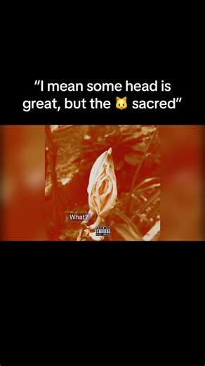 “Sacred” out now on my SoundCloud. It’s time to learn the truth. The 🐱 SACRED #fyp #spirituality #love #throwaway #music