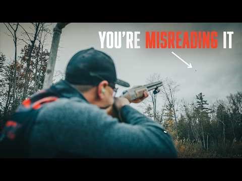 Clay Targets Explained (How To Read Every Type for Beginners)