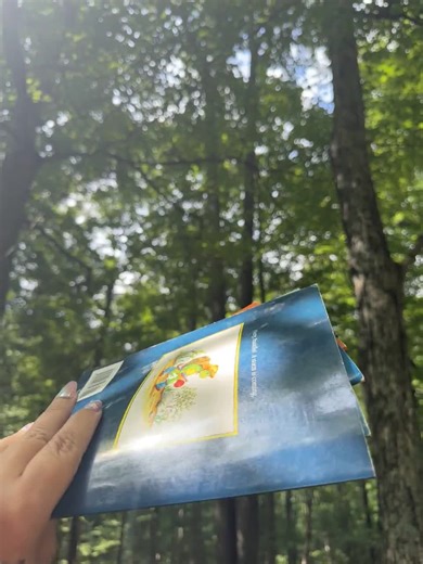 Franklin the Turtle Books Lot of 6 Thunderstorm, Wants a Pet, in the Dark, Class Trip, New Friend, and Goes to School - Etsy