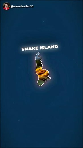 Snake island #shorts #facts #amazingfacts #snakeisland