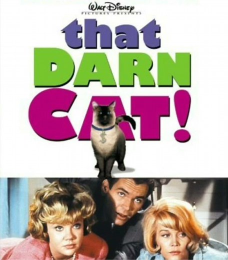 mini movie review... that darn cat! #disney #movie #moviereview #comedy #comedymovies