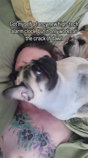 My fancy new high-tech alarm clock is cool, but I can't figure out how to set it for any time except "crack of dawn." #rundawg #mobiledoggym #dawgsquad | Run Dawg