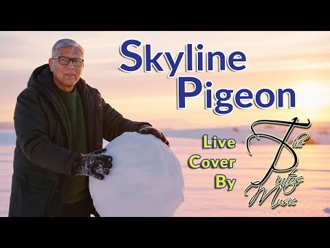 Skyline Pigeon Live cover by The Pintos Music | Elton John #richardpinto #digitaldawnstudios