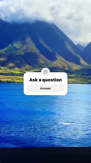 🐋 Mum & Baby Whale’s Playtime Turns Into a CHASE by 5 Giants! 😱🌊