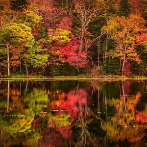 Welcome to Hokkaido, the region where autumn comes first in Japan! Every year, Hokkaido transforms itself into the numerous autumn colors as early as in mid-September through early November. Follow us for spectacular views of autumn from every corner of Hokkaido. | Good day Hokkaido