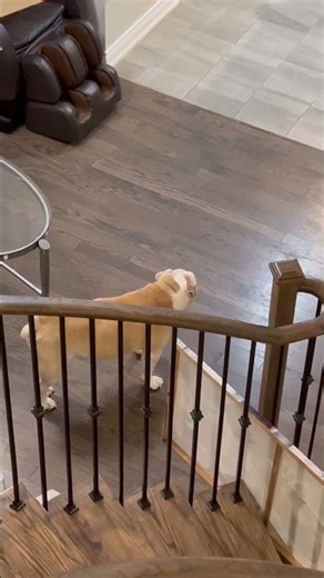 When mom coming back home