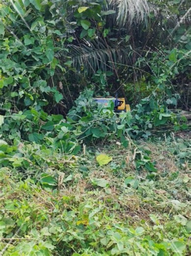 Semua orang ingat dah jahanam, tapi... 😱 Jatuh longkang besar pun masih boleh potong rumput! Kualiti SW1000 memang padu! #swmachinery #mesinrumput #fypmalaysia #fypシ゚viral🖤tiktok #contractormalaysia