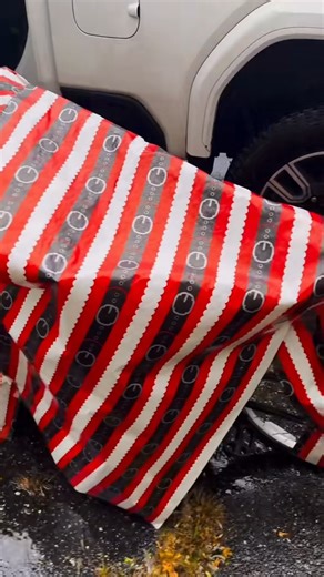 213K views · 21K reactions | #surprise #thegoodboss #work #hardwork | The Boss | Facebook